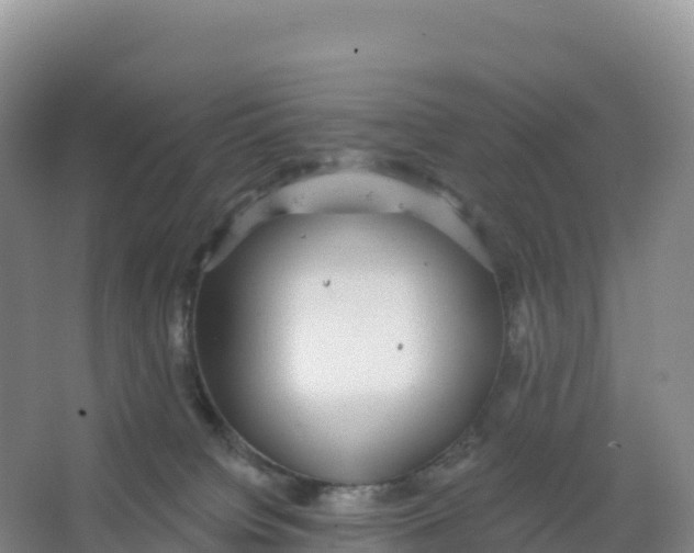 X0000066970084200604142152