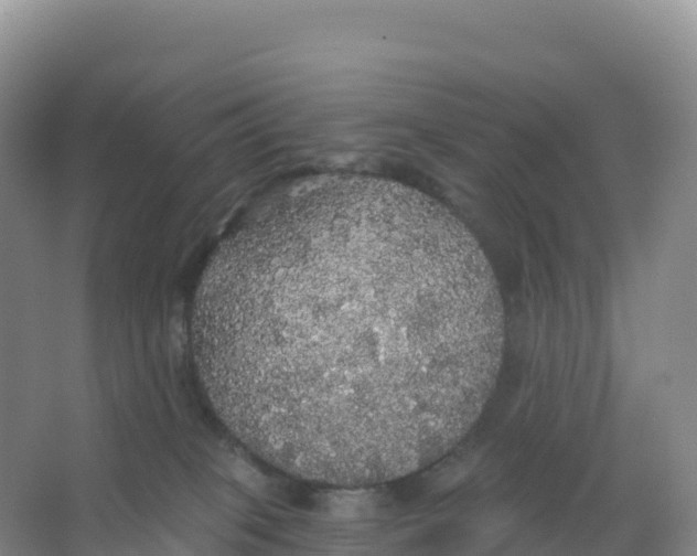 X0000066970085200604142152