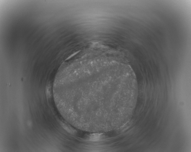 X0000066970090200604142152