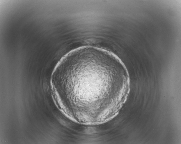 X0000066970091200604142152