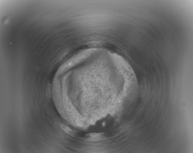 X0000066970093200604142152