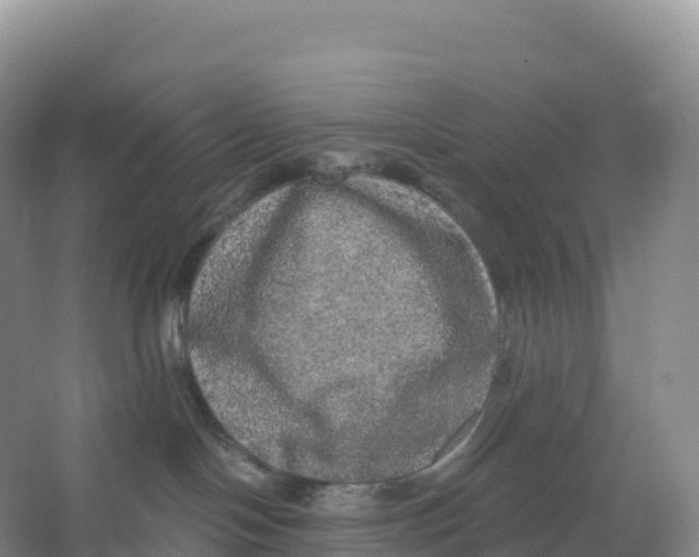 X0000066970094200604142152