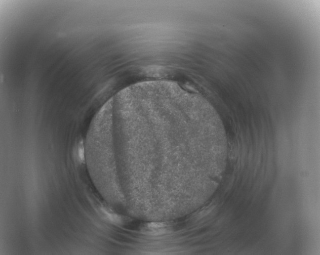 X0000066970095200604142152