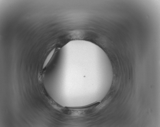 X0000066970096200604142152