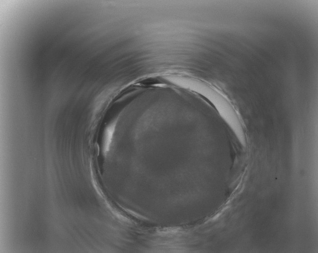 X0000066970097200604142151