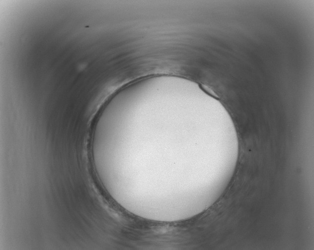 X0000066970098200604142151