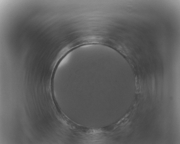 X0000066970099200604142151