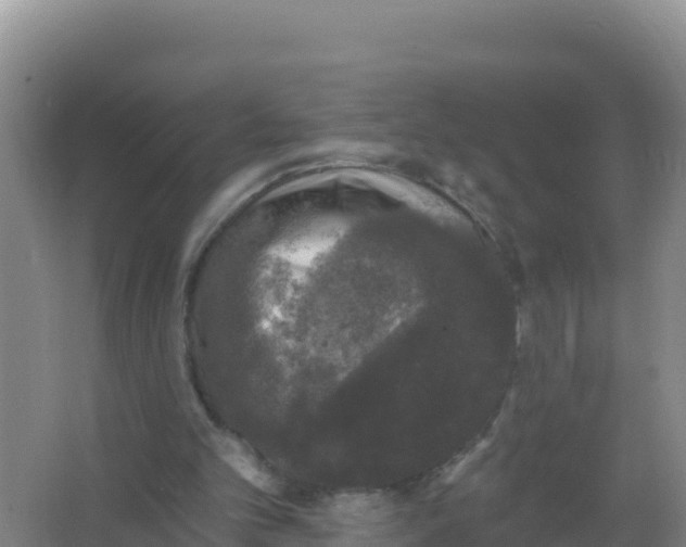 X0000066970101200604142151