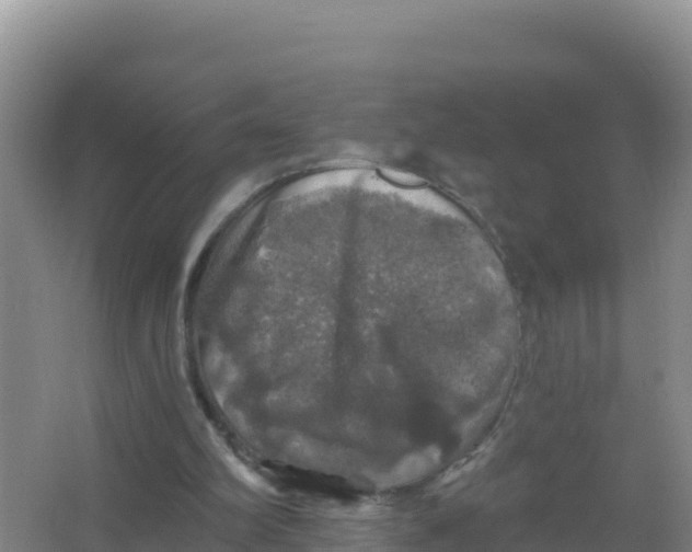 X0000066970102200604142151