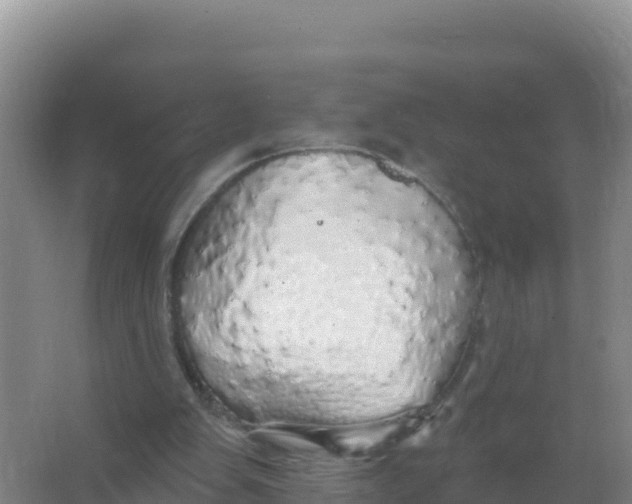 X0000066970103200604142151