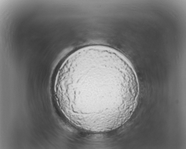 X0000066970104200604142151