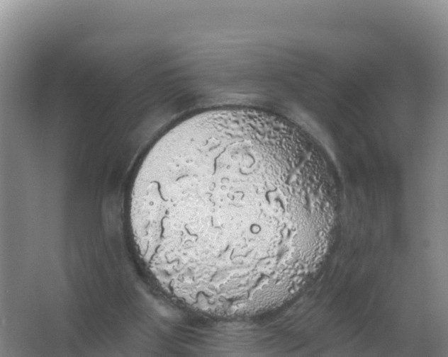 X0000066970107200604142151