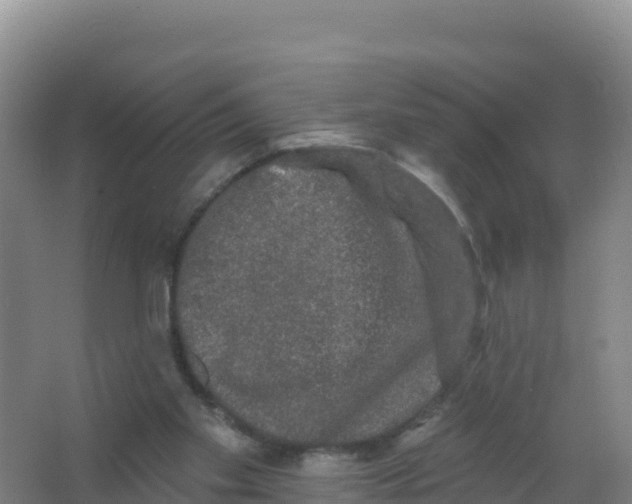 X0000066970109200604142151