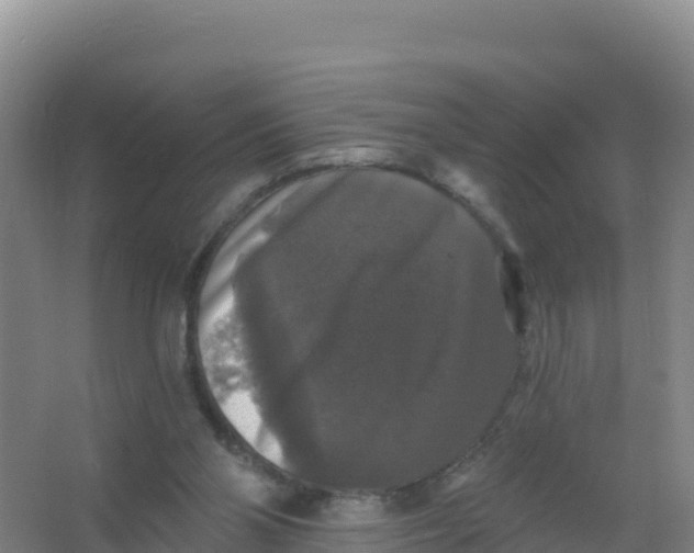 X0000066970110200604142151