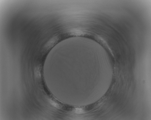 X0000066970114200604142151