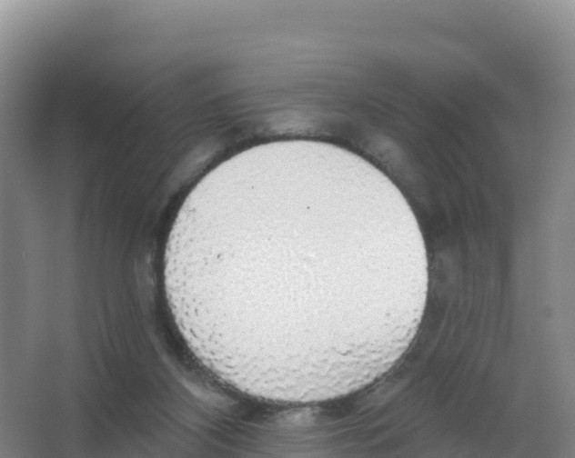 X0000066970116200604142151