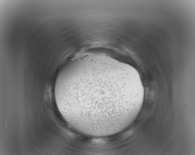 X0000066970117200604142151