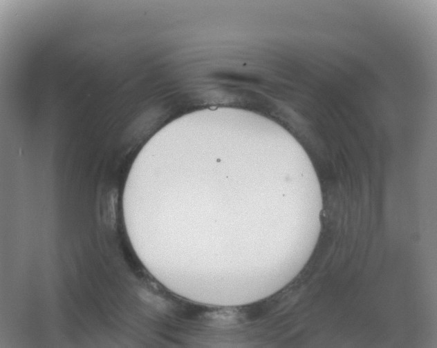 X0000066970118200604142151