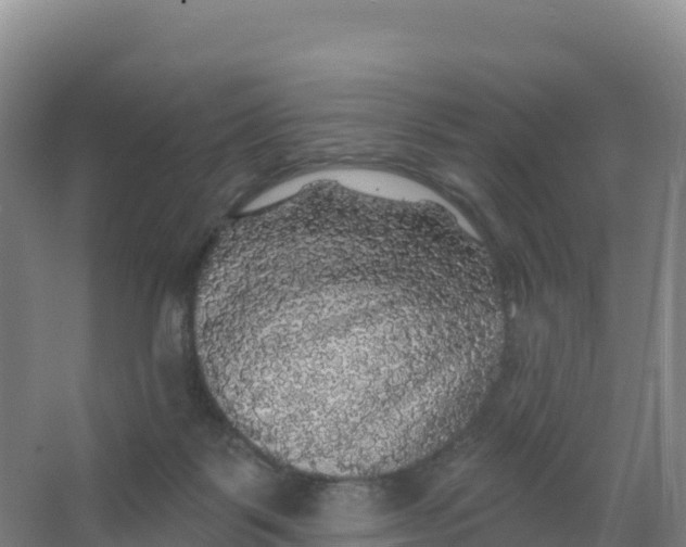 X0000066970123200604142151