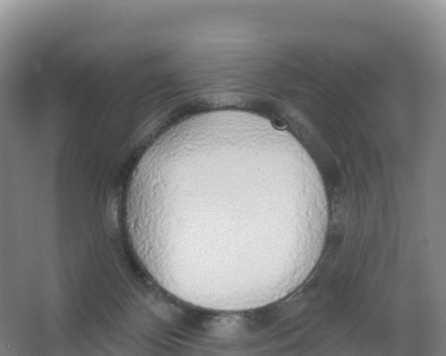 X0000066970124200604142151