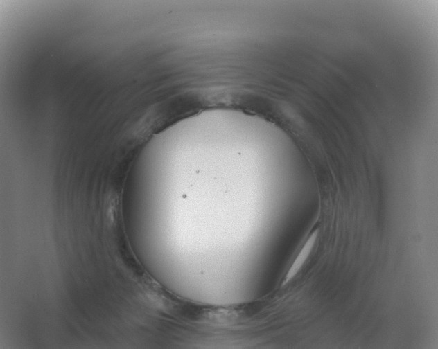 X0000066970125200604142151