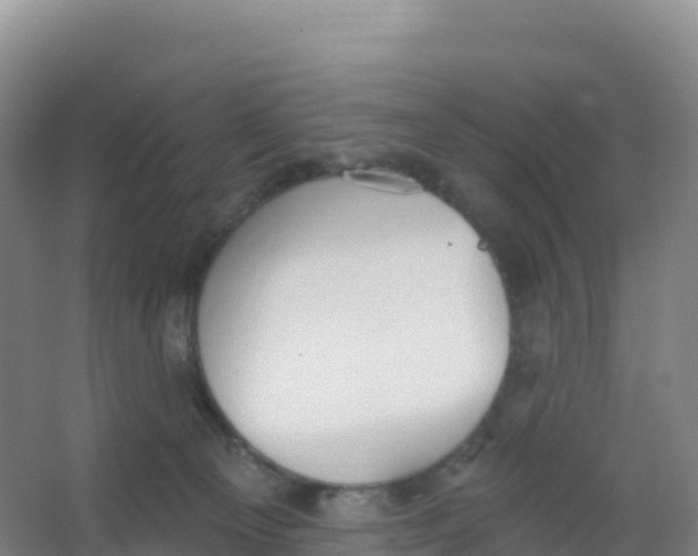 X0000066970129200604142151