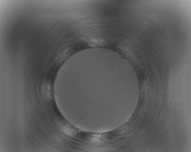 X0000066970130200604142151