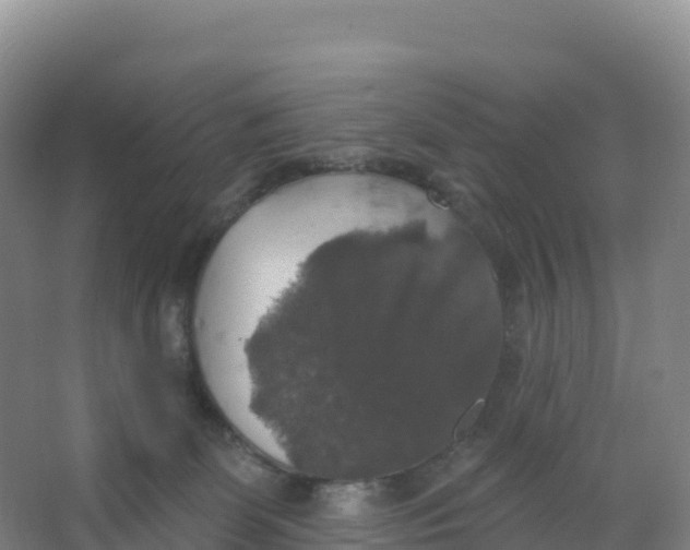 X0000066970131200604142151