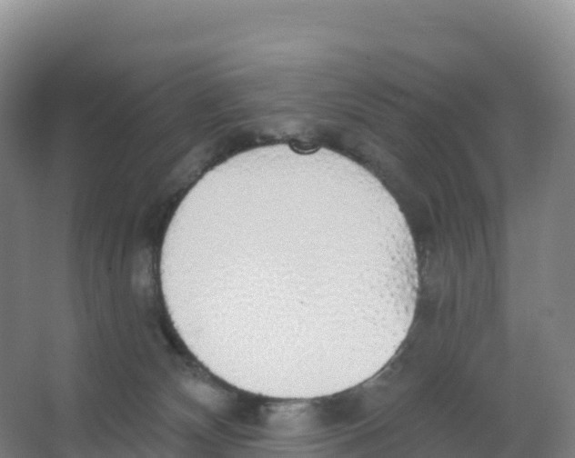 X0000066970132200604142150