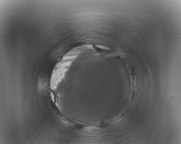 X0000066970137200604142150