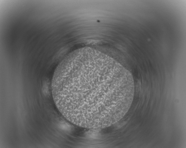 X0000066970138200604142150