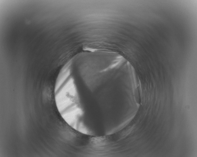 X0000066970139200604142150