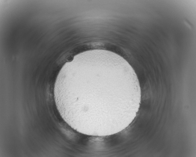 X0000066970140200604142150