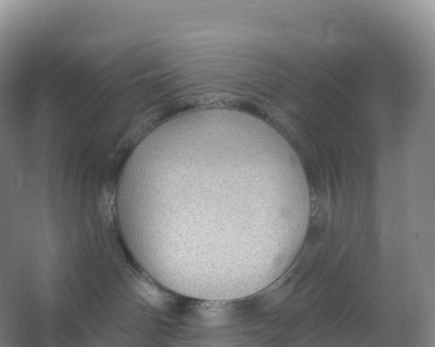 X0000066970142200604142150