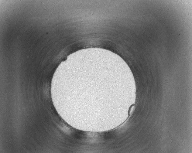 X0000066970144200604142150