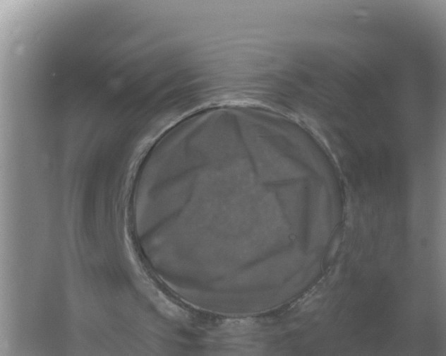 X0000066970145200604142149