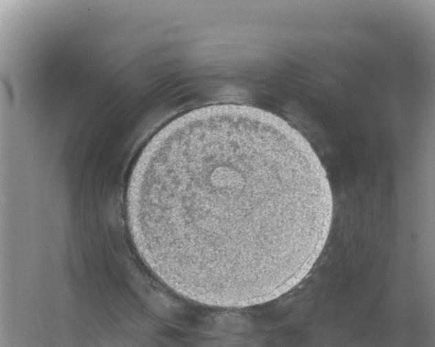 X0000066970146200604142149