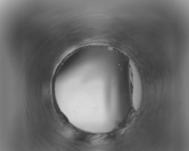 X0000066970148200604142150