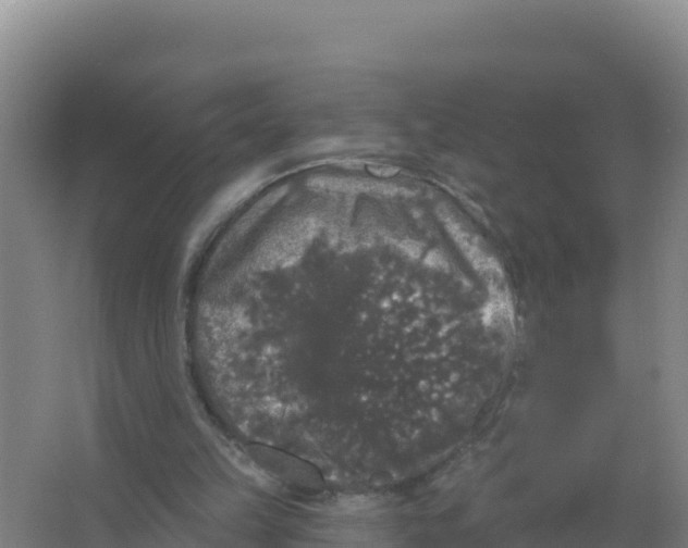 X0000066970149200604142150