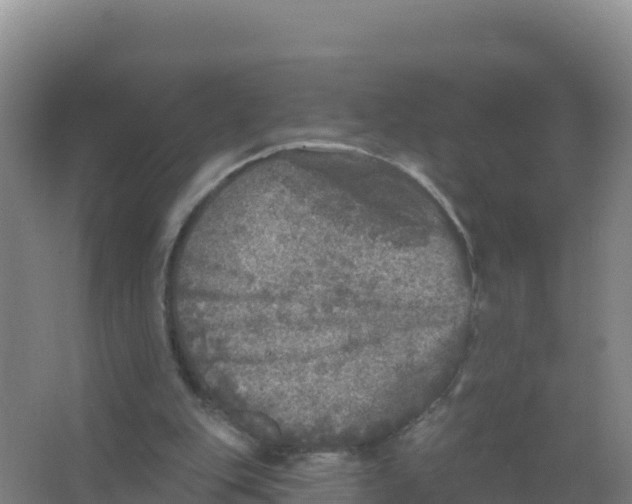 X0000066970151200604142150