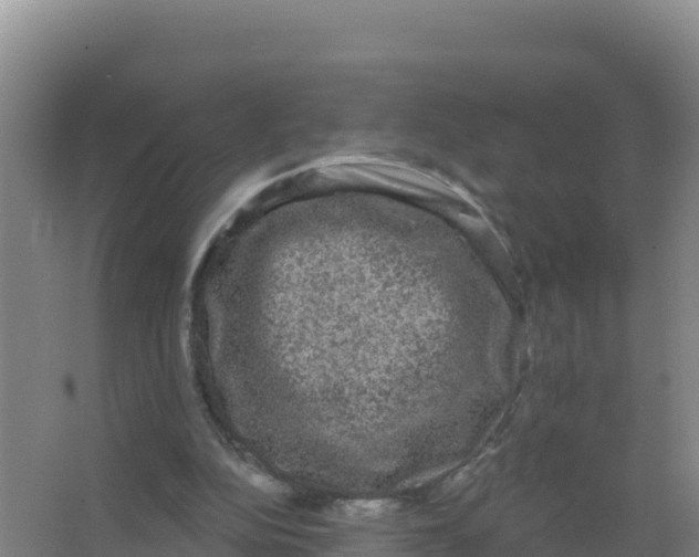 X0000066970152200604142150