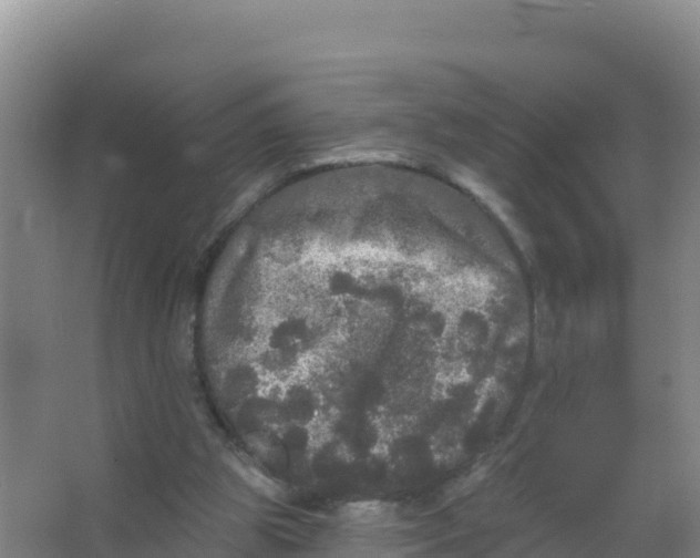 X0000066970153200604142150