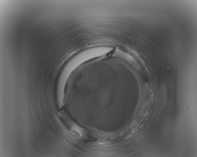 X0000066970154200604142150