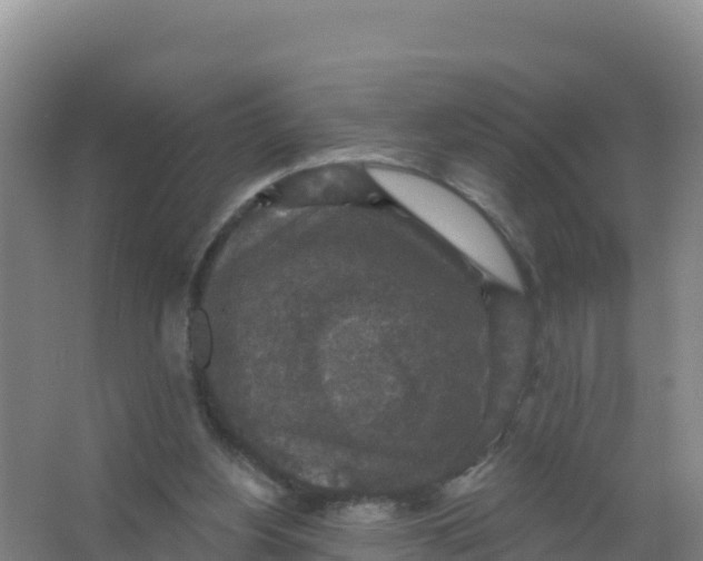 X0000066970156200604142150