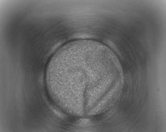 X0000066970159200604142150