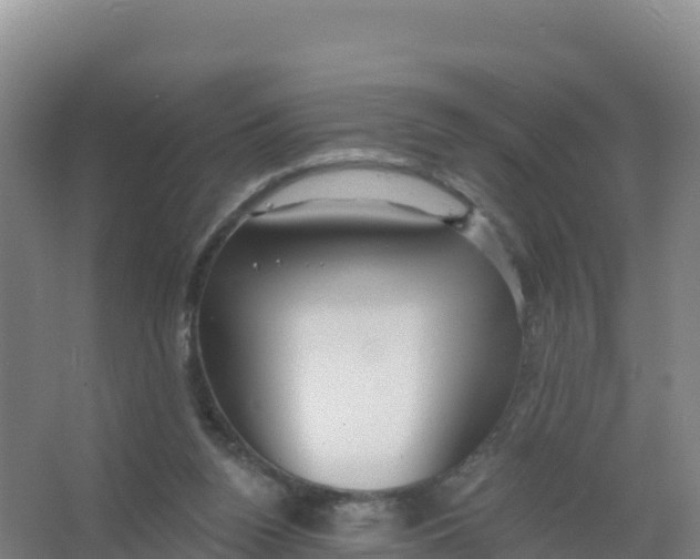 X0000066970160200604142150