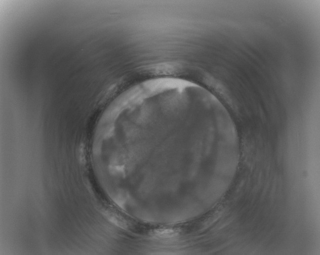 X0000066970161200604142150