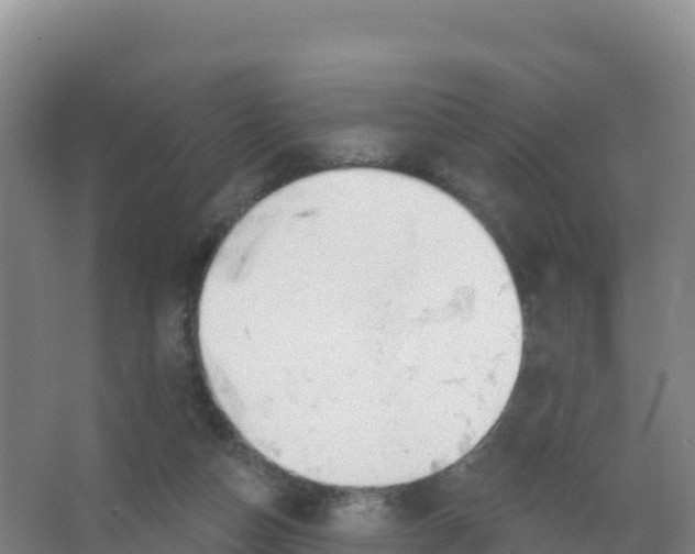 X0000066970162200604142150