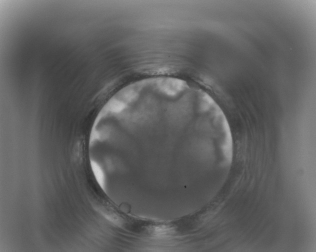 X0000066970165200604142150