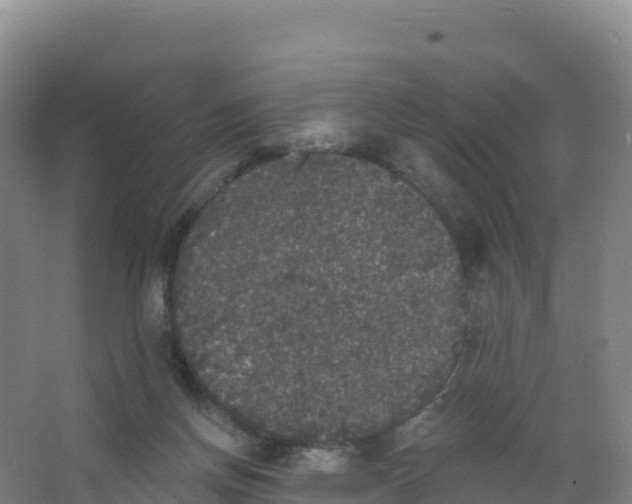 X0000066970166200604142150